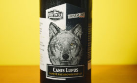 Canis Lupus – wilcza kooperacja