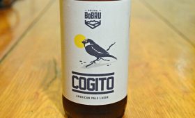 Cogito – piwo z Doliny Bobru